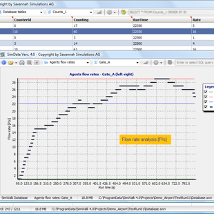 SimWalk Flow Rate Analysis